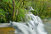 Tufs waterfall, Les planches-près-d'Arbois, Jura, France