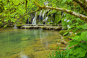 Tufs waterfall, Les planches-près-d'Arbois, Jura, France