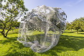 Protection net for fruit trees against birds