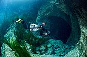 Underground diver in the exsurgence of Font Estramar / Fontaine de Salses, Pyrénées-Orientales, France