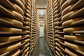 Comté cheeses, Maturing cellar of the Fruitiere d'Arinthod, Jura, France