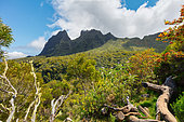 Cirque de Mafate at boeufs pass, Reunion Island, France