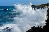 Pointe au sel, Saint Leu, Reunion Island, France