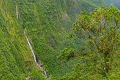 Takamaka Valley, Saint Benoit, Reunion Island, France