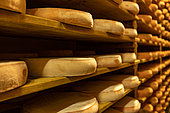 Comté cheeses, Maturing cellar, Jura, France