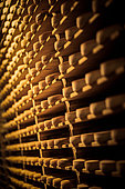 Comté cheeses, Maturing cellar, Jura, France