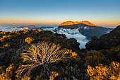 Piton des neiges from the Grand Bord, Reunion Island, France