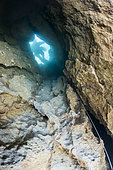 Diver above the entrance to the Buèges spring, Hérault, France