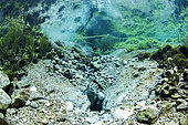 Entrance to the Buèges spring, at the bottom of the basin, Hérault, France