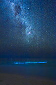 Bioluminescent plankton or phytoplankton under the Milky Way, Mayotte