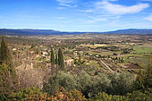 Landscape of the Luberon and Calavon's plain in spring, Vaucluse monts, Provence, France