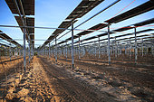 Field of photovoltaic panels and tree planting, Vaucluse, France