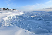 Pack ice at Cape Swainson, North-east coast of Greenland