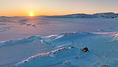 Sunset on new ice, North-East coast of Greenland