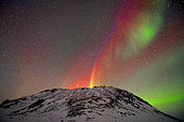 Aurora borealis over the hills of Cape Hoegh, east coast of Greenland