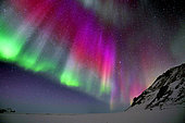 Aurora borealis, Cape Hoegh, north-east coast of Greenland