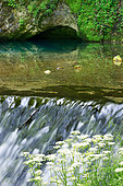 La Source bleue de Malbuisson, Doubs, France