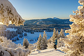 Snowshoeing in Le Noirmont, Jura sur Léman ski resort, Canton of Vaud, Switzerland