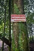 Brownsberg Nature reserve, Suriname