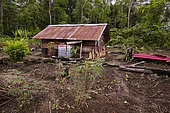 Sustainable living, Suriname