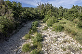 Dry Calavon, Gondonnets, Luberon, Vaucluse, France