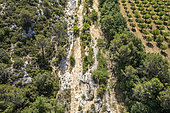 Dry Calavon, Bonnieux, Luberon, Vaucluse, France
