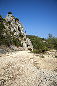 Dry Calavon, Luberon, Vaucluse, France