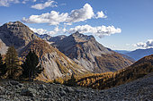 View of the Alpes Maritimes from the Col de la Cayolle, Mercantour National Park, France