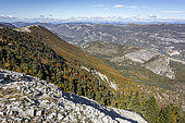 Ridges of the Montagne de Lure, Alpes de Haute Provence, France