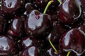 Black sweet cherries 'Summit'