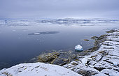 Landscape at the Sermilik (Sermiligaaq) icefjord in the area Ammassalik in East Greenland. North America, Greenland, Ammassalik, Danish territory, autumn