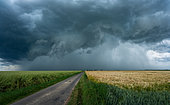 Hailstorm north of Chartres. Powerful 5cm hailstorm between Chartres and Dreux on 4 June 2022 with the formation of an imposing arcus. Tremblay les villages, Eure et Loir, France