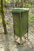 Container set up by hunters to feed game, spring, Pas de Calais, France