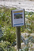 Information panel for the public, concerning the preservation of flora, spring, Côtes d'Armor, France
