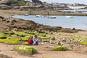 Girls looking for shellfish on a beach at Trégaste, Côtes d'Armorl, France