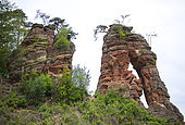 Sandstone rocks, Palatinate Regional Nature Park: Dahn rock country, Germany