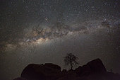 Milky Way over a rocky bar, silhouette of a tree and rocks under the stars at night, Namibia
