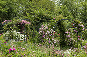 Rose garden, Jean-Marie Pelt botanical garden, Nancy, Lorraine, France