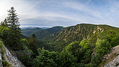 Landscape from the Vosges towards the Col de la Schlucht, Ballons des Vosges Regional Nature Park, France