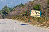 Road sign with a tiger to limit speed and protect the passage of wild animals crossing the Mahendra Highway inside the park, Forest, Bardia or Bardiya National Park, Terai region, Nepal.