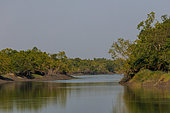 Sunderbans, marée basse sur un bras d'eau, Delta du Gange, Golfe du Bengale, Inde
