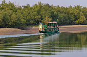 Tourist boat in an inlet of the Sunderbans, Ganges Delta, Bay of Bengal, India