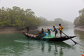 Local fishing boat on a Sunderbans inlet, Sunderbans, Ganges Delta, Bay of Bengal, India