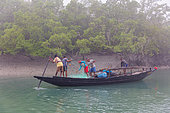 Local fishing boat on a Sunderbans inlet, Sunderbans, Ganges Delta, Bay of Bengal, India