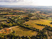 Mosaic of crops (cherry trees and vines) in the foothills of the Ventoux in autumn, Bedoin, Vaucluse, Provence, France