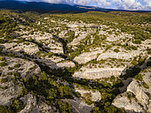 Combe de Curnier, southern slopes of Mont Ventoux, Bedoin, Vaucluse, Provence, France