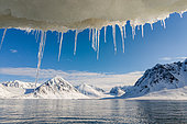 Ice stalactites on the ice shelf along Magdalen Bay in Spitsbergen, Svalbard archipelago