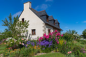 Breton house with a flower garden in Planguenoual, Lamballe-Armor, Côtes-d'Armor, Brittany, France