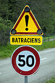 Road sign, saving amphibians in spring, forest near ponds, laying nets on the side of the road, Ammerschwihr, Haut-Rhin (68), France