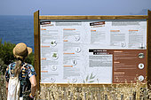 Panel, information on plants, Pointe de la Cride, Sanary-sur-Mer, Var (83), France